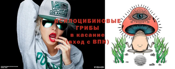 соль ск Осинники