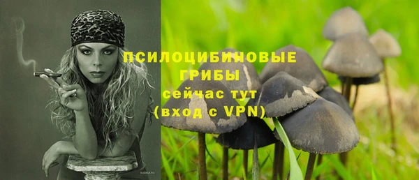 прущая мука Остров