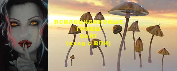 каннабис Осташков