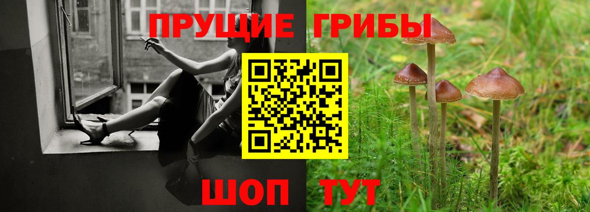 Махачкала  Галлюциногенные грибы MAGIC MUSHROOMS  сколько стоит  Вход с VPN 