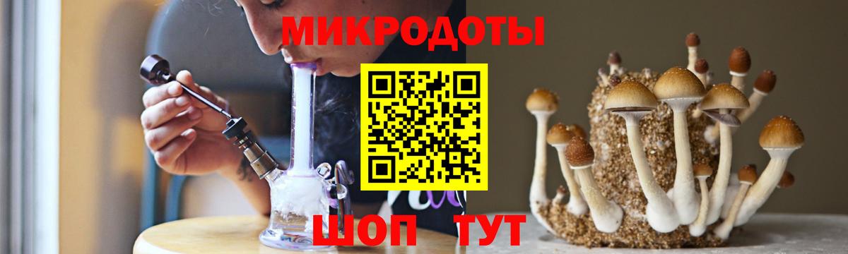 Галлюциногенные грибы Psilocybe Махачкала